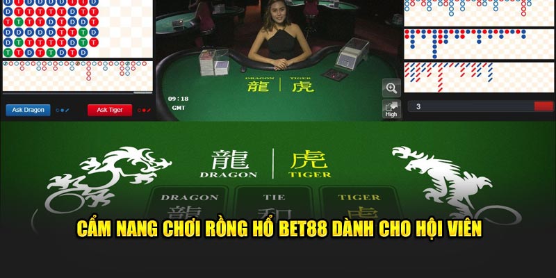 Cẩm nang chơi Rồng Hổ BET88 dành cho hội viên