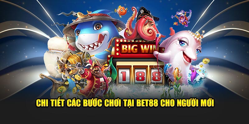 Các bước chơi tại nhà cái BET88 cho người tham gia