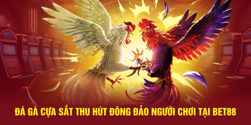 Đá gà cựa sắt thu hút đông đảo người chơi tại BET88