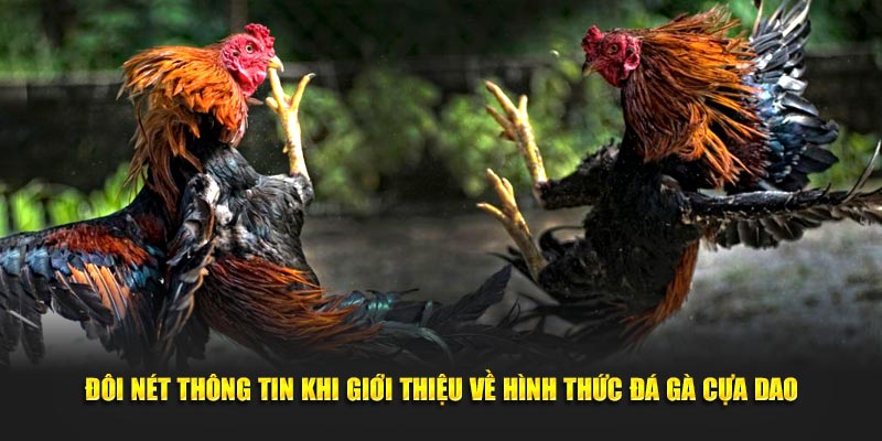 Đôi nét thông tin khi giới thiệu về hình thức giải trí độc đáo hiện nay 