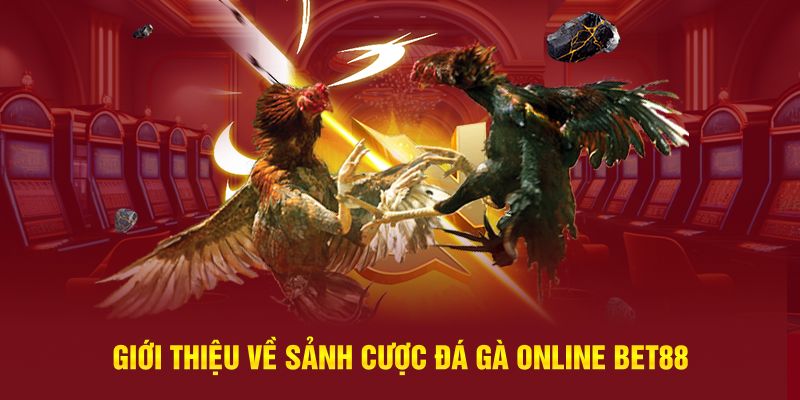 Giới thiệu về sảnh cược đá gà online BET88