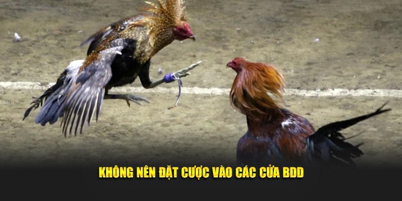 Không nên đặt cược vào các cửa BDD