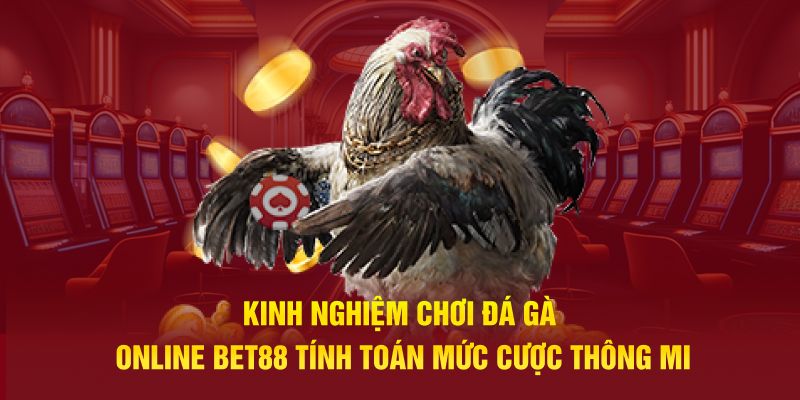 Kinh nghiệm chơi đá gà online BET88 tính toán mức cược thông minh 