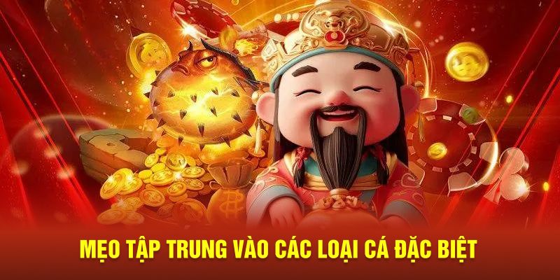 Mẹo tập trung vào các loại cá đặc biệt